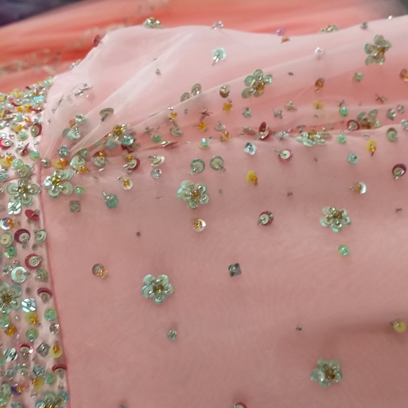 Precious formals prom dress - Picture 9 of 12